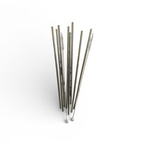 Set 10 Paie Reutilizabile din Oțel Inoxidabil LIVARNO Home – cu 2 Perii Curățare, Eco, Reutilizabile