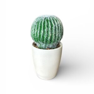 Cactus Artificial Rotund în Ghiveci – Plantă Decorativă Verde, Design Modern pentru Interior