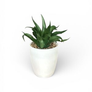 Plantă Artificială Decorativă în Ghiveci – Model Aloe/Agave, Verde, Design Modern pentru Interior